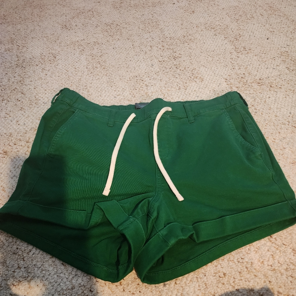Torrid Shorts